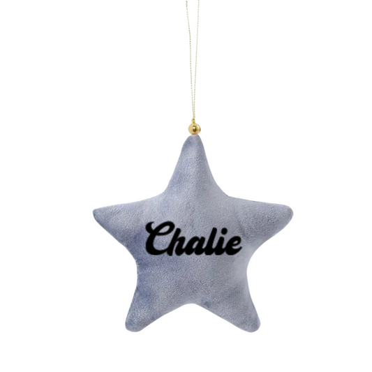 GREY VELVET STAR CHRISTMAS DECORATION - NAME