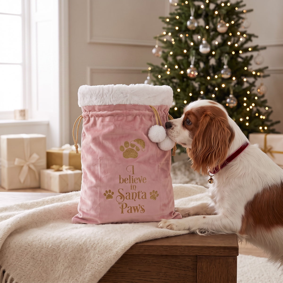 SANTA PAWS VELVET SACK